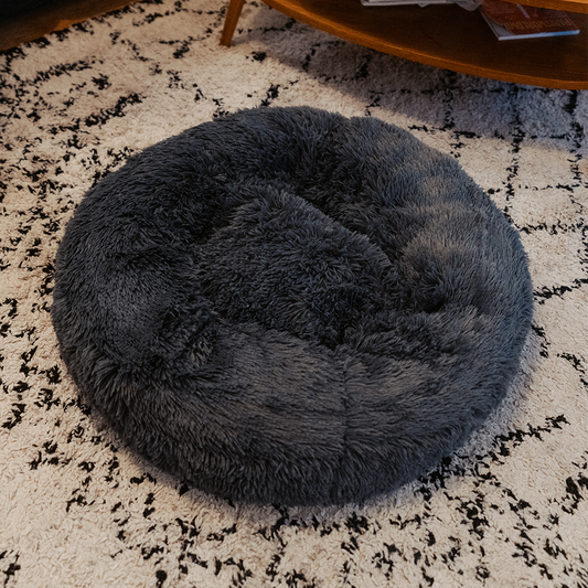 Pourquoi offrir à votre animal issu d'un refuge un lit DoggyPlace ?