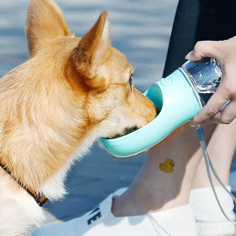 Bouteille d'eau portable pour animaux